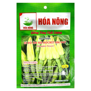 Hạt giống Bí đỏ ăn nụ Rocket HN-047
